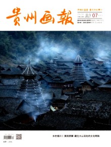 贵州画报期刊