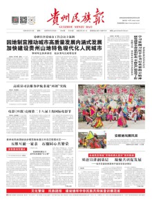 贵州民族报期刊